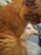 1087-05c214ab2ce14eb6bd16b12755bfe746_prev